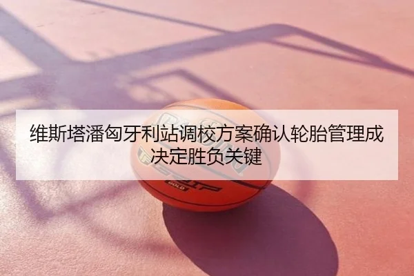 维斯塔潘匈牙利站调校方案确认轮胎管理成决定胜负关键